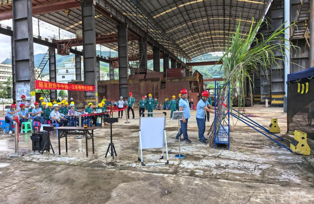 甘蔗种类甄别项目 .jpg