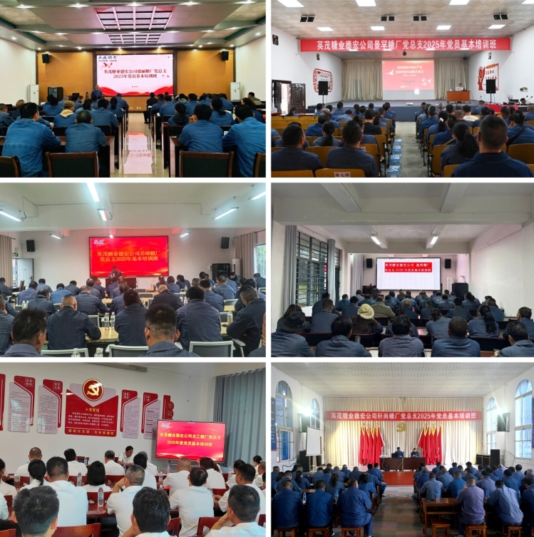 培训现场.jpg 培训现场.jpg